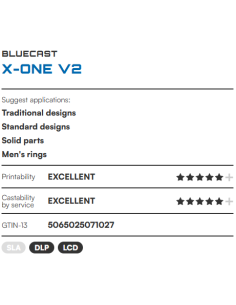 BlueCast X-One V2 Odlievateľný Resin 2